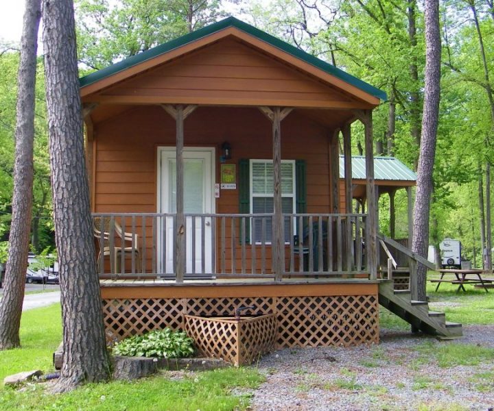 Deluxe Bunk Cabin 2 Bedrooms