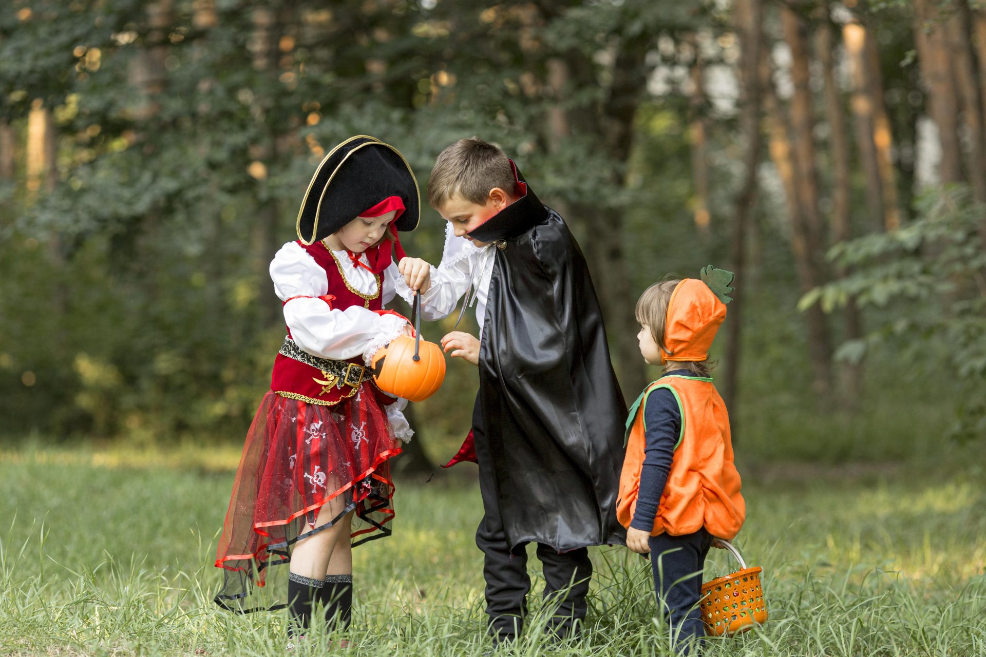 Halloween Image